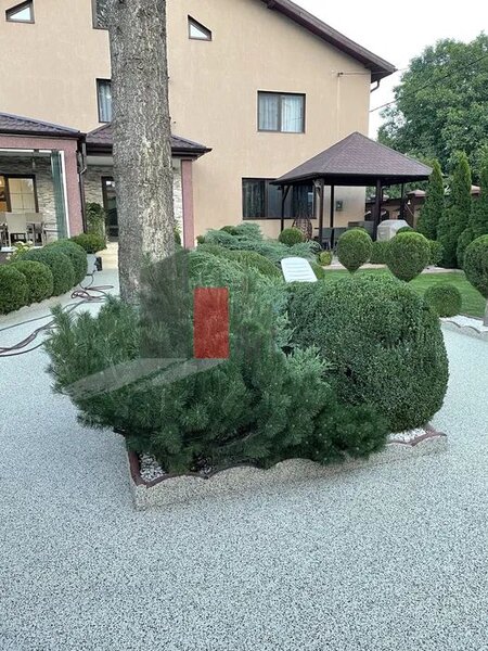 Vila de lux de inchiriat, ideala pentru afaceri.