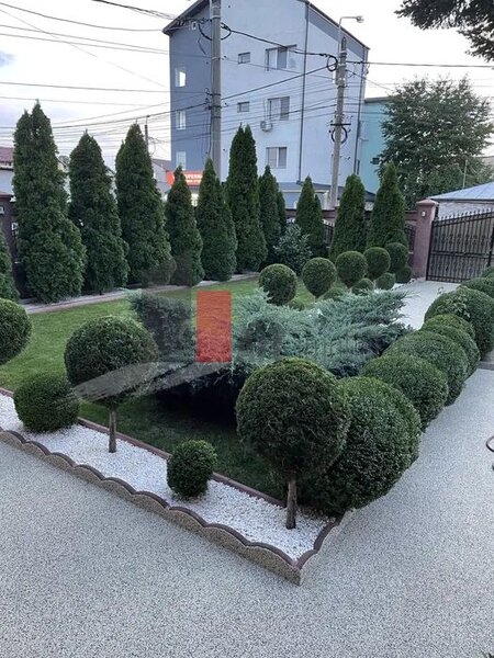 Vila de lux de inchiriat, ideala pentru afaceri.